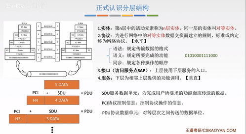 計算機網(wǎng)絡(luò) 2 標(biāo)準(zhǔn)化工作 性能指標(biāo) 分層結(jié)構(gòu)